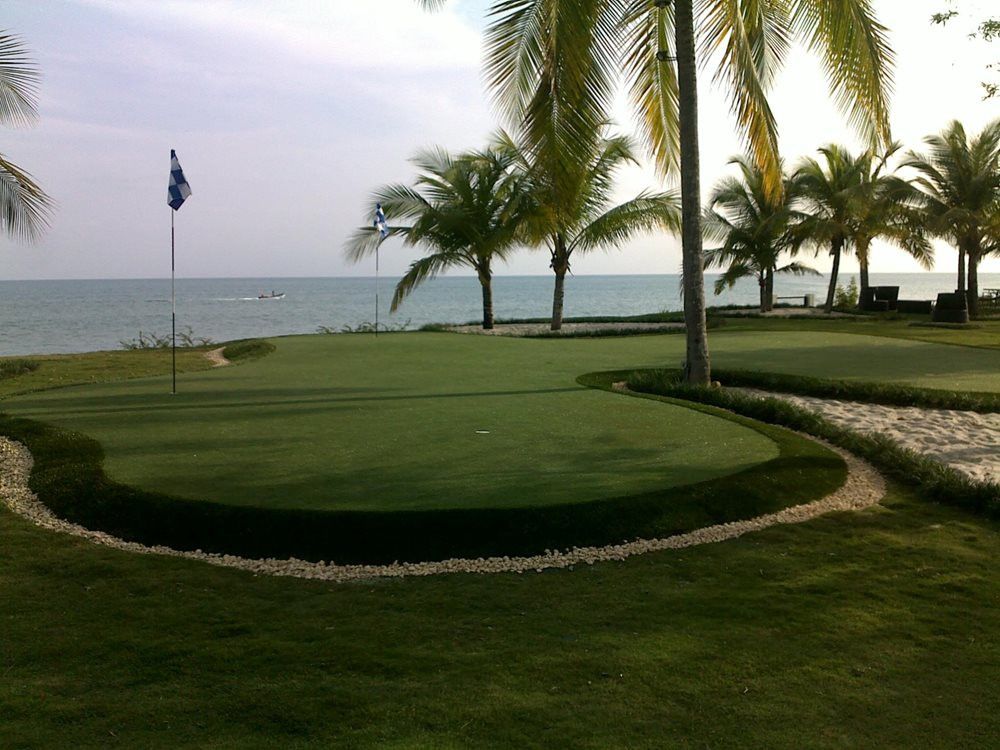 Phoenix artificial grass landscaping