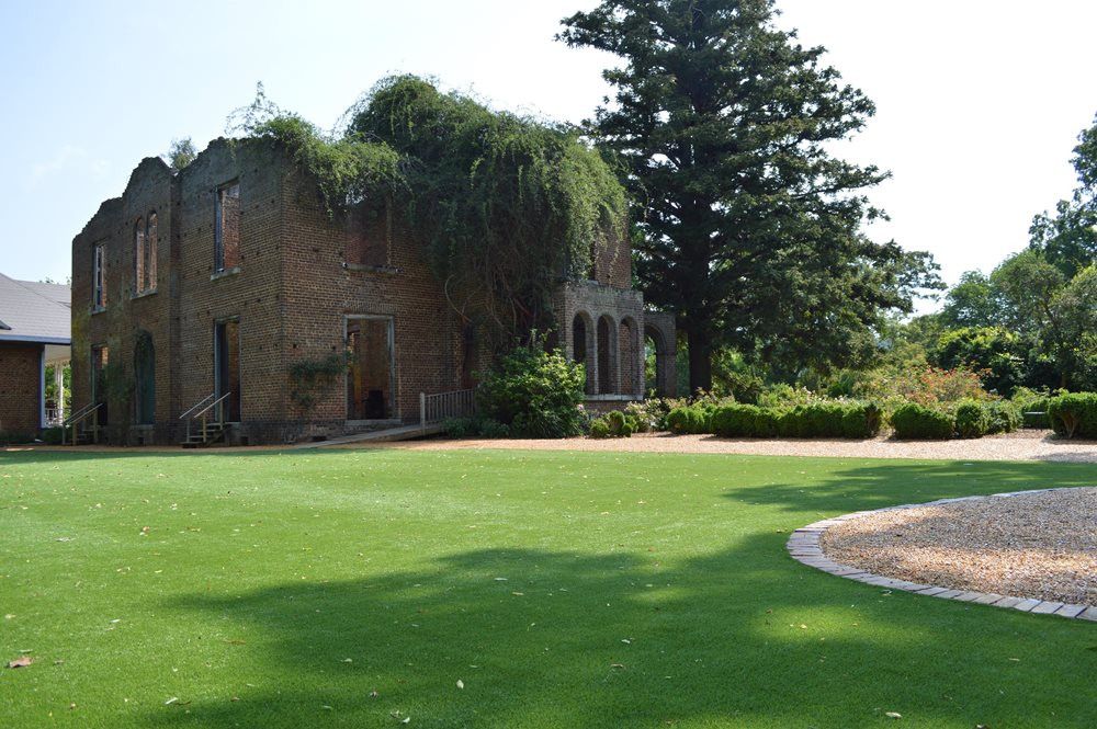 Phoenix artificial grass landscaping