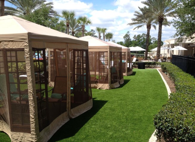 Phoenix commercial landscape turf